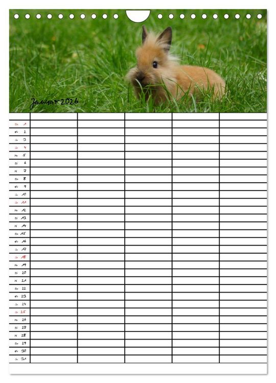 Produktbild: Meerschweinchen und Kaninchen Familienplaner (Wandkalender 2026 DIN A4 hoch), CALVENDO Monatskalender