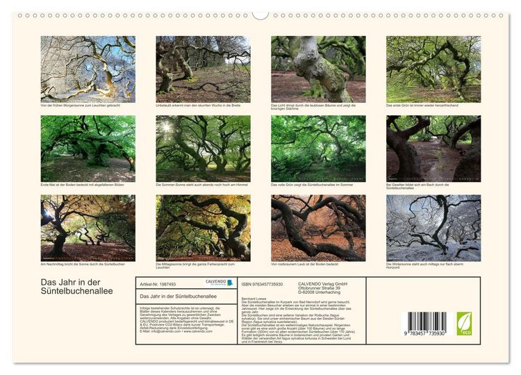 Produktbild: Das Jahr in der S&uuml;ntelbuchenallee (hochwertiger Premium Wandkalender 2026 DIN A2 quer), Kunstdruck in Hochglanz