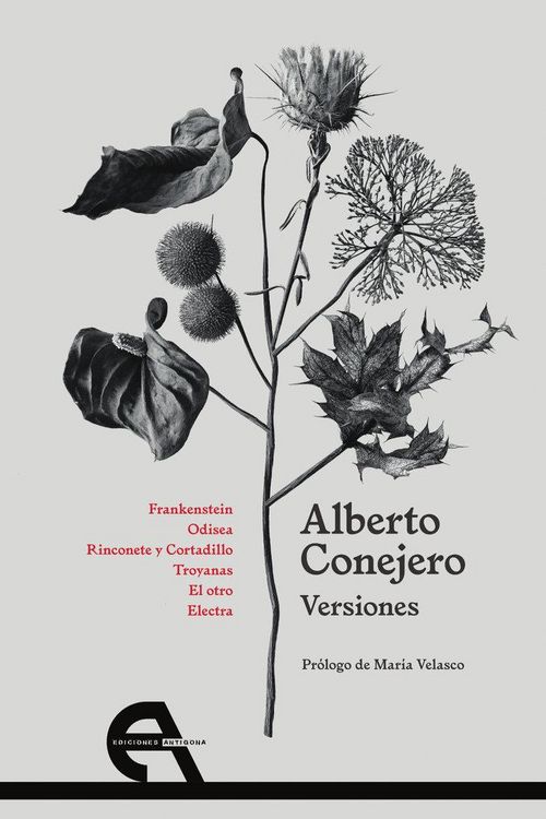 Produktbild: Versiones