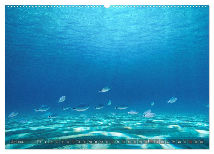 Produktbild: Sardinien - Karibik des Mittelmeers (Wandkalender 2026 DIN A2 quer), CALVENDO Monatskalender