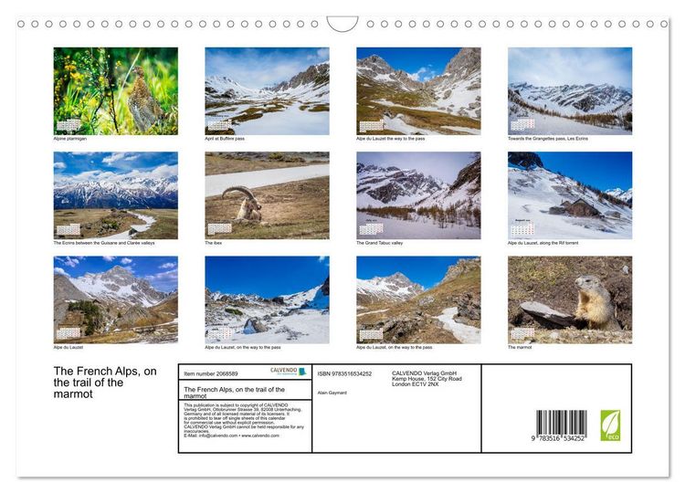 Produktbild: The French Alps, on the trail of the marmot (Wall Calendar 2026 DIN A3 landscape), CALVENDO 12 Month Wall Calendar