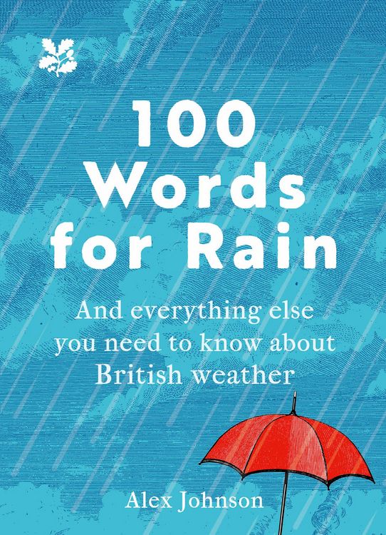 Produktbild: 100 Words for Rain