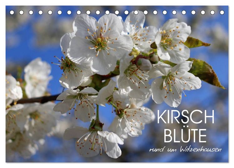 Produktbild: Kirschbl&uuml;te rund um Witzenhausen (Tischkalender 2026 DIN A5 quer), CALVENDO Monatskalender