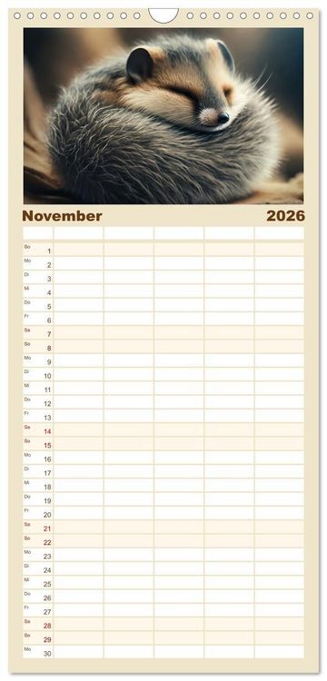 Produktbild: Familienplaner 2026 - Traumhafte Ruhe - Ein Jahr mit s&uuml;&szlig;en Schlafm&uuml;tzen mit 5 Spalten (Wandkalender, 21 x 45 cm) CALVENDO
