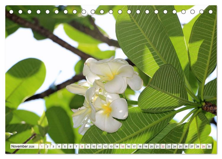 Produktbild: Hawaii the Aloha State (Tischkalender 2026 DIN A5 quer), CALVENDO Monatskalender