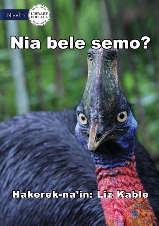 Produktbild: Can It Fly? - Nia bele semo?
