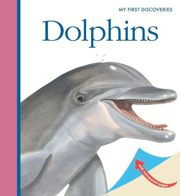 Produktbild: Dolphins