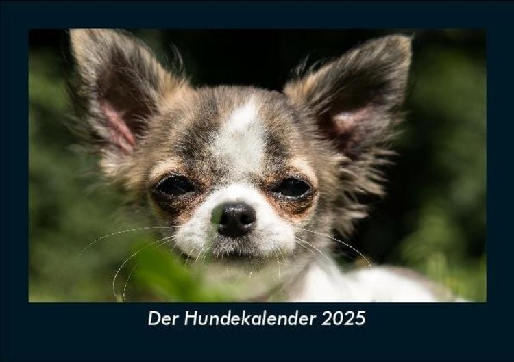 Produktbild: Der Hundekalender 2025 Fotokalender DIN A5