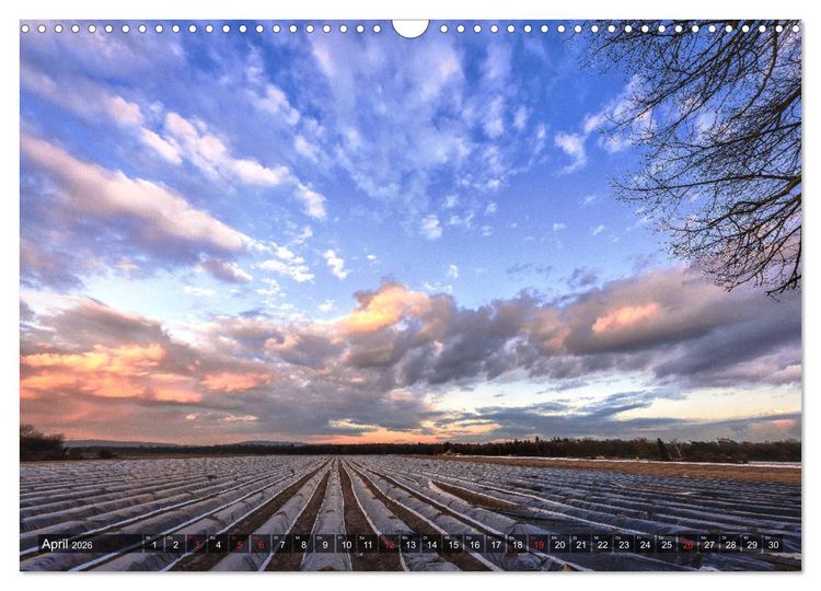 Produktbild: Ketsch am Rhein (Wandkalender 2026 DIN A3 quer), CALVENDO Monatskalender