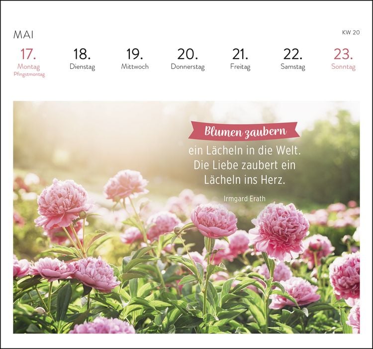 Produktbild: Postkartenkalender 2027: Was ich dir w&uuml;nsche f&uuml;r jeden Tag