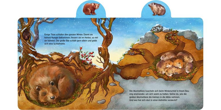Produktbild: Was machen die Tiere im Winter?