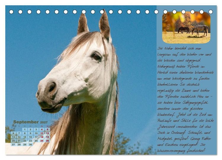 Produktbild: Pferdehaltung Tipps und Wissenswertes (Tischkalender 2027 DIN A5 quer), CALVENDO Monatskalender