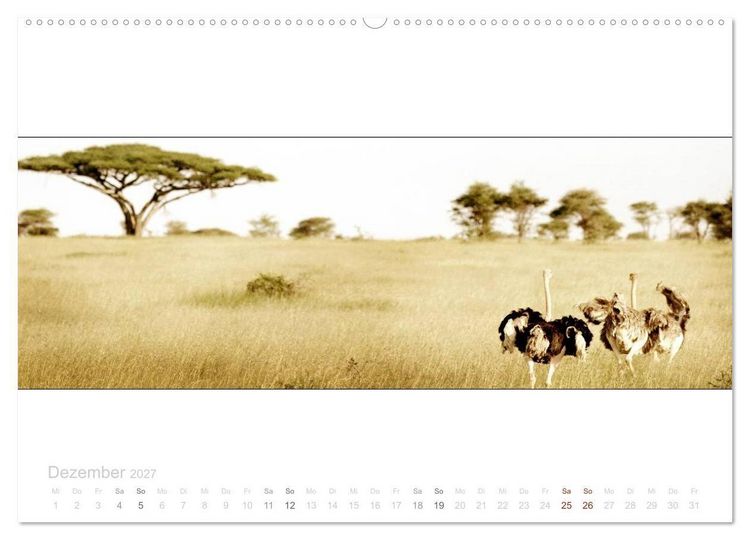 Produktbild: Serengeti Panorama (Wandkalender 2027 DIN A2 quer), CALVENDO Monatskalender