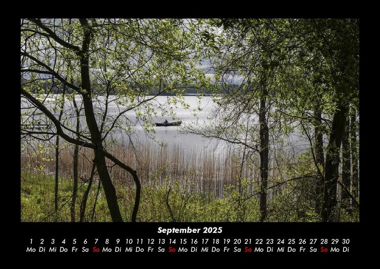 Produktbild: Waldzauber 2025 Fotokalender DIN A3
