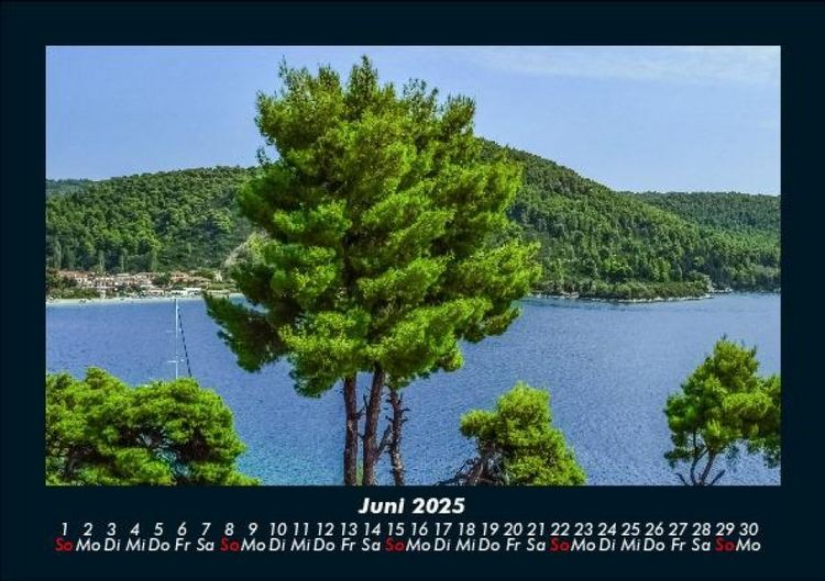 Produktbild: B&auml;ume 2025 Fotokalender DIN A5