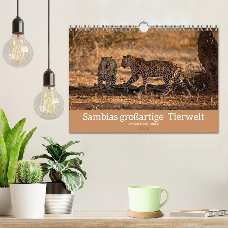 Produktbild: Sambias gro&szlig;artige Tierwelt (Wandkalender 2026 DIN A4 quer), CALVENDO Monatskalender
