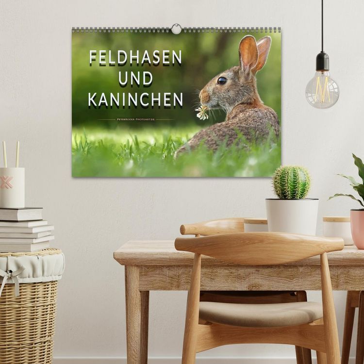 Produktbild: Feldhasen und Kaninchen (Wandkalender 2026 DIN A3 quer), CALVENDO Monatskalender