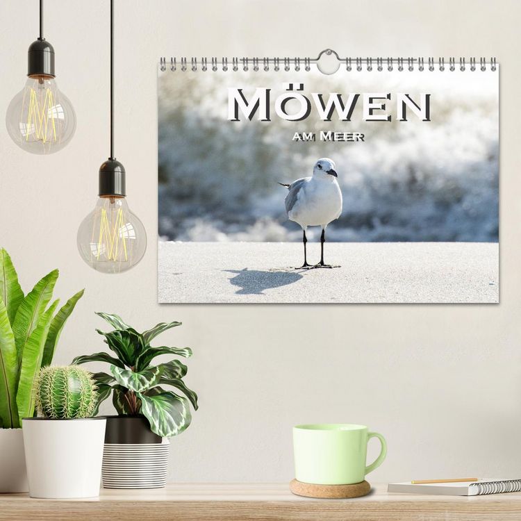 Produktbild: M&ouml;wen am Meer (Wandkalender 2026 DIN A4 quer), CALVENDO Monatskalender