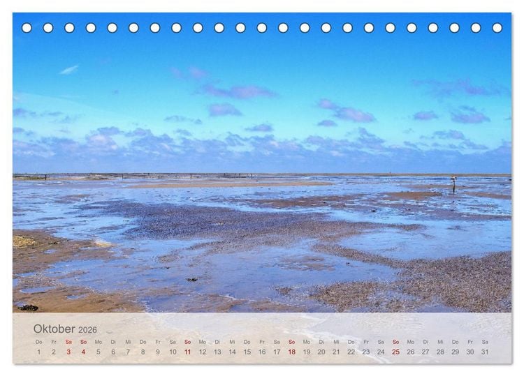 Produktbild: Salzwiesen, Schafe und Watt - Westerhever, ein Naturparadies an der Nordsee (Tischkalender 2026 DIN A5 quer), CALVENDO Monatskalender