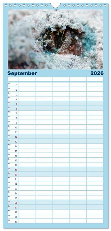 Produktbild: Familienplaner 2026 - Tauchen, Fische und Meer mit 5 Spalten (Wandkalender, 21 x 45 cm) CALVENDO