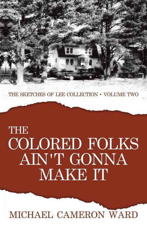 Produktbild: The Colored Folks Ain't Gonna Make It