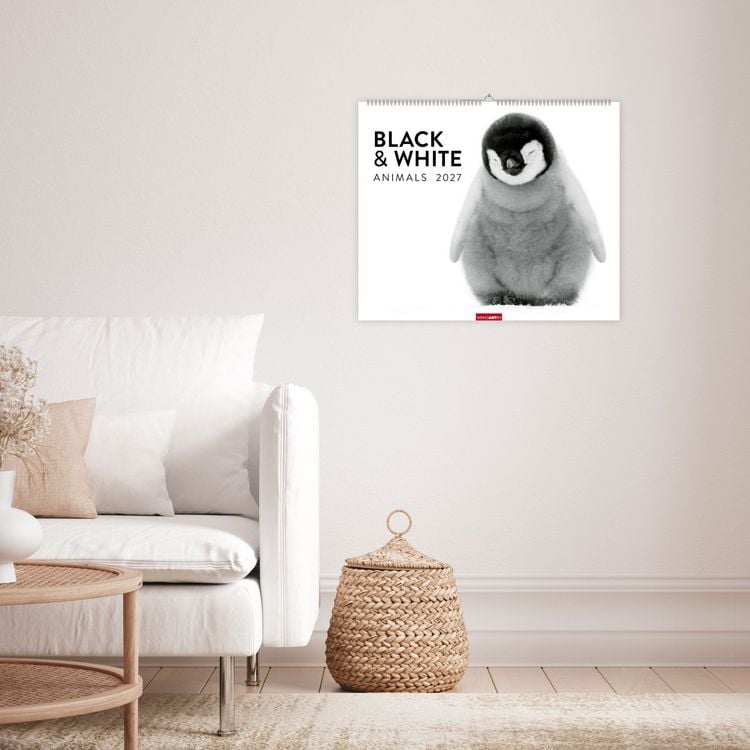 Produktbild: Black & White Animals 2027