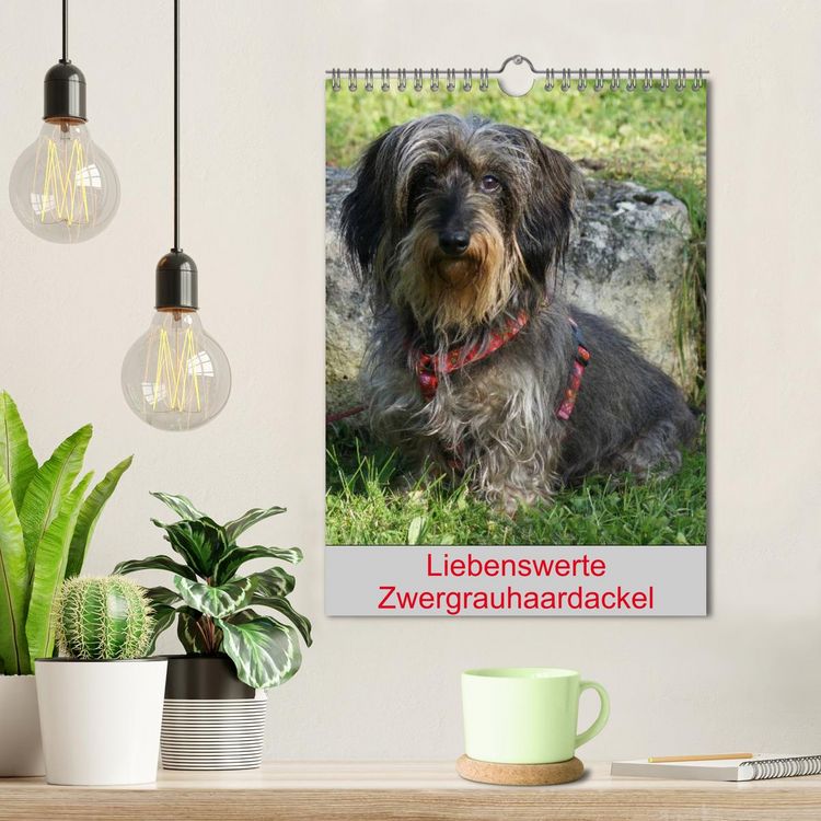 Produktbild: Liebenswerte Zwergrauhaardackel (Wandkalender 2026 DIN A4 hoch), CALVENDO Monatskalender