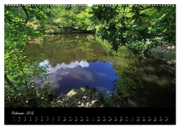 Produktbild: Broc&eacute;liande / Zauberwald der Bretagne (hochwertiger Premium Wandkalender 2026 DIN A2 quer), Kunstdruck in Hochglanz