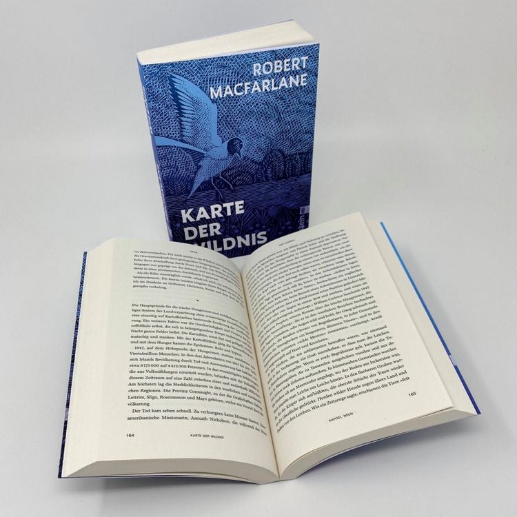 Produktbild: Karte der Wildnis