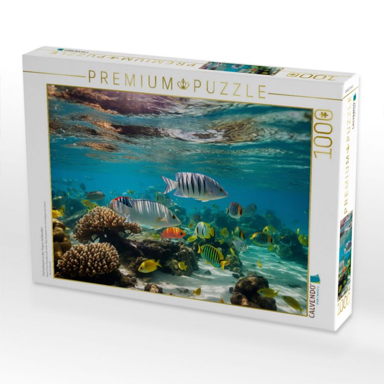 Produktbild: CALVENDO Puzzle Fischschwarm in den Tropen mit Korallen | 1000 Teile Lege-Gr&ouml;&szlig;e 64x48cm Foto-Puzzle f&uuml;r gl&uuml;ckliche Stunden