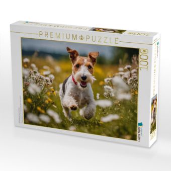 Produktbild: CALVENDO Puzzle Mit Volldampf &uuml;ber die Wiese | 1000 Teile Lege-Gr&ouml;&szlig;e 64x48cm Foto-Puzzle f&uuml;r gl&uuml;ckliche Stunden
