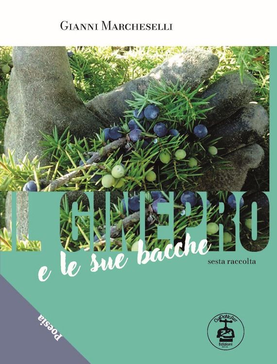 Produktbild: Il ginepro e le sue bacche. Ediz. illustrata. Vol. 6