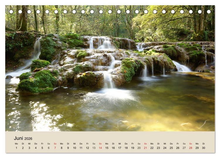 Produktbild: Der Wald. Durch zauberhafte Waldlandschaften (Tischkalender 2026 DIN A5 quer), CALVENDO Monatskalender