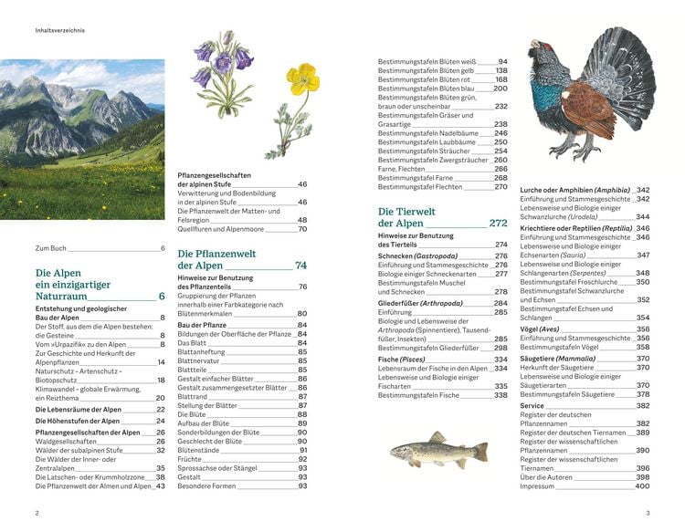 Produktbild: Der illustrierte Naturf&uuml;hrer Alpen