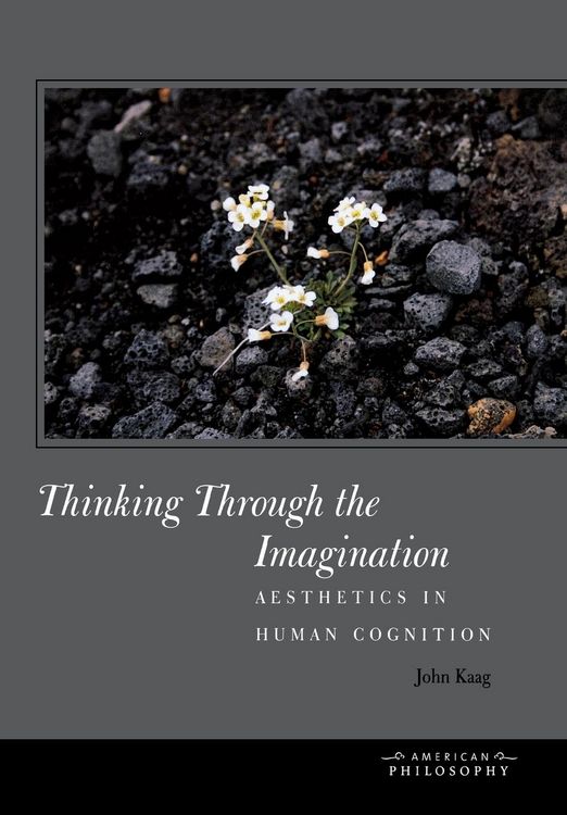 Produktbild: Thinking Through the Imagination