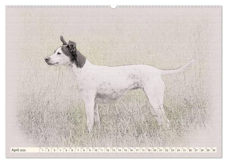 Produktbild: Bodeguero Andaluz 2026 (Wandkalender 2026 DIN A2 quer), CALVENDO Monatskalender