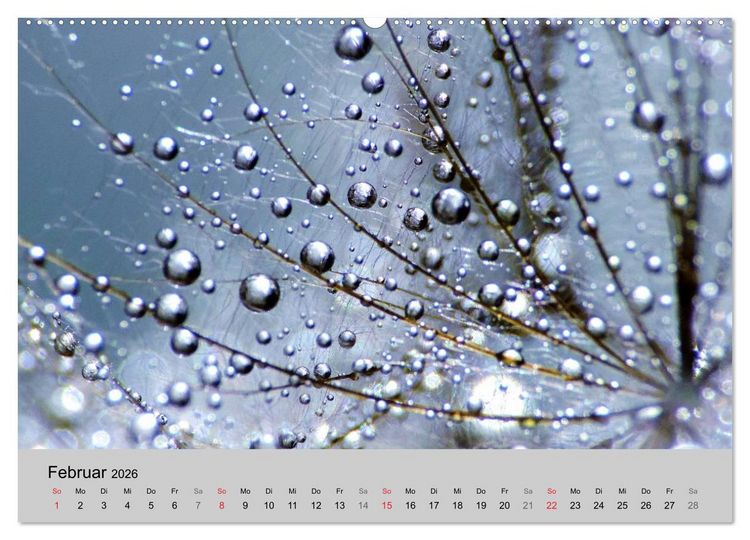 Produktbild: Naturjuwel Pusteblume (Wandkalender 2026 DIN A2 quer), CALVENDO Monatskalender