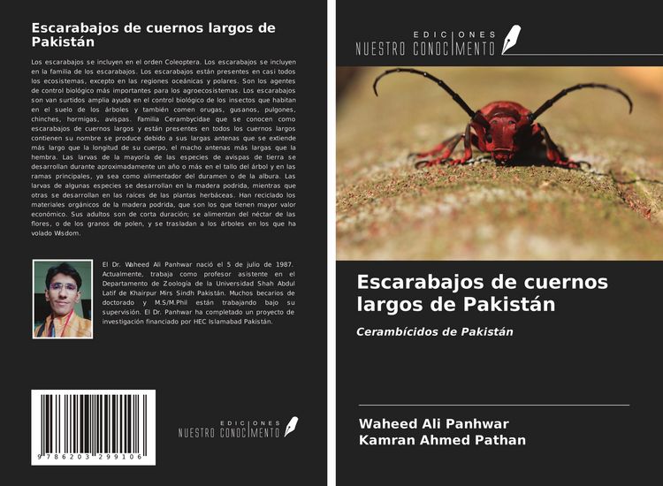 Produktbild: Escarabajos de cuernos largos de Pakist&aacute;n