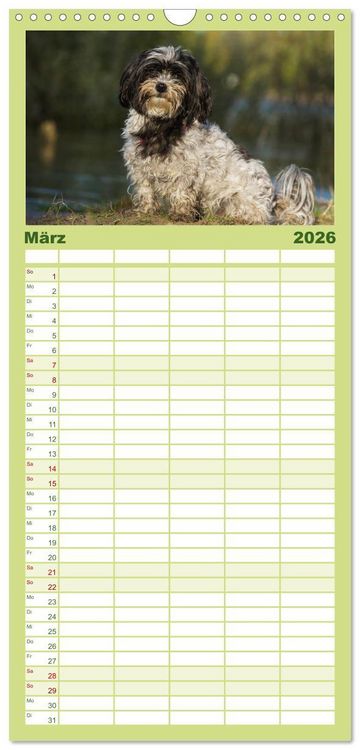Produktbild: Familienplaner 2026 - Havaneser - Herz auf 4 Pfoten mit 5 Spalten (Wandkalender, 21 x 45 cm) CALVENDO
