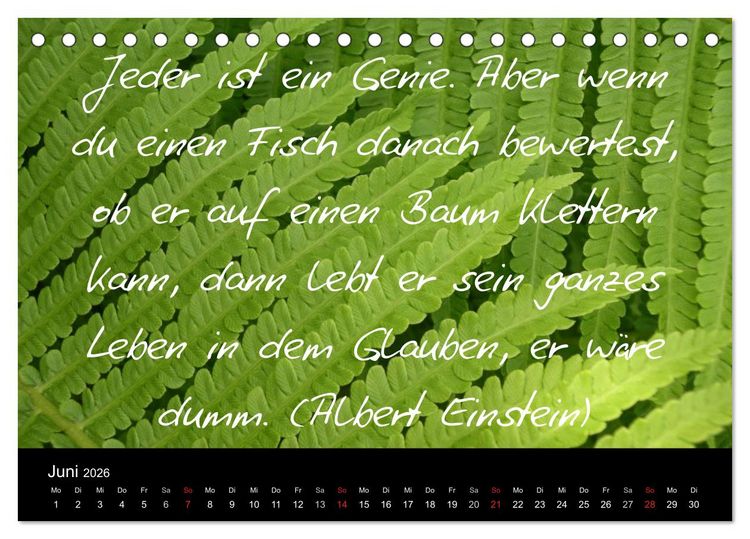 Produktbild: Positiv durch&acute;s Jahr (Tischkalender 2026 DIN A5 quer), CALVENDO Monatskalender