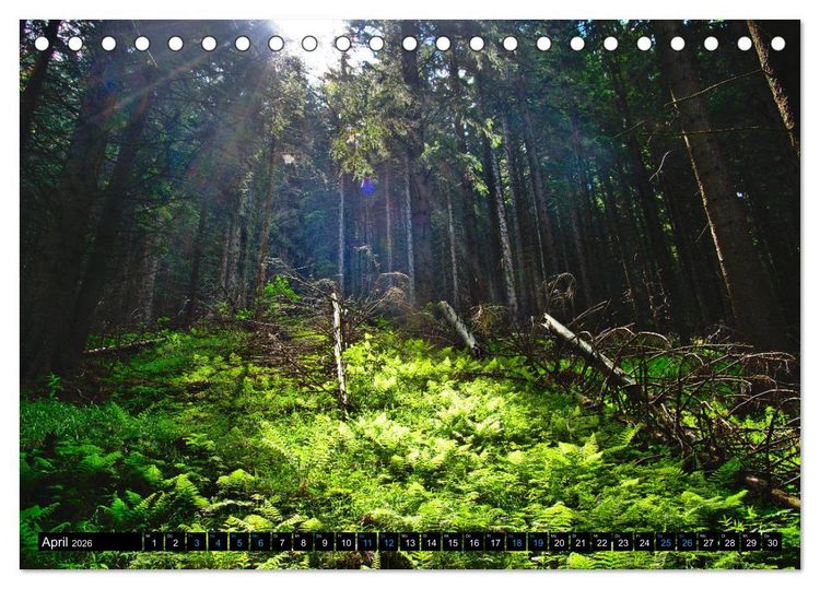 Produktbild: Slowakei - Abseits der Hohen Tatra (Tischkalender 2026 DIN A5 quer), CALVENDO Monatskalender