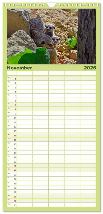 Produktbild: Familienplaner 2026 - Erdm&auml;nnchens Kinderstube mit 5 Spalten (Wandkalender, 21 x 45 cm) CALVENDO