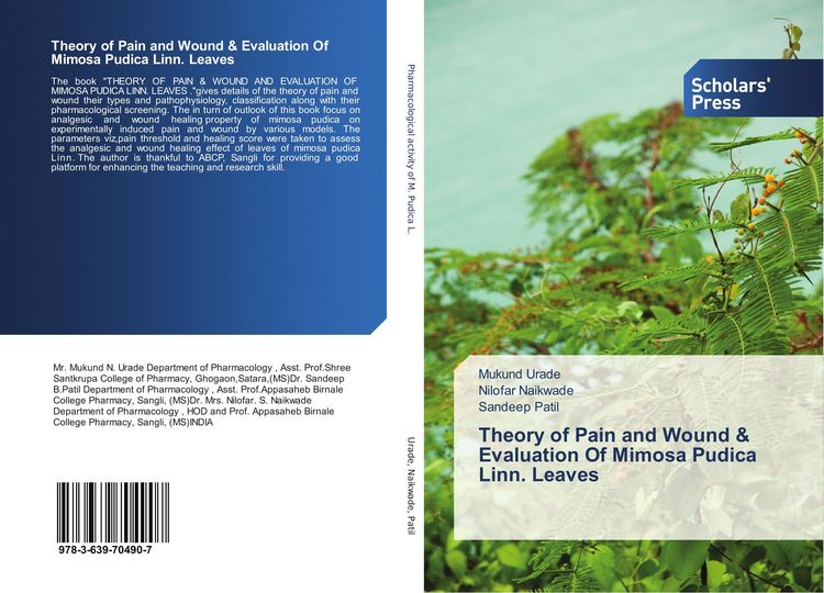 Produktbild: Theory of Pain and Wound & Evaluation Of Mimosa Pudica Linn. Leaves