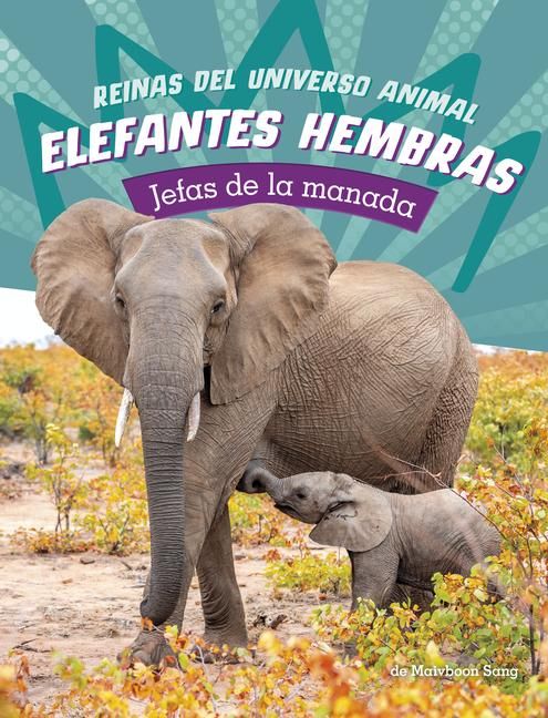 Produktbild: Elefantes Hembras: Jefas de la Manada (Elephant Cows: Heads of the Herd)