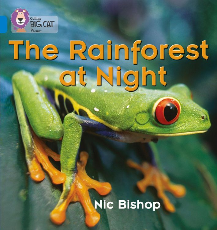 Produktbild: BIG CAT PHONICS - RAINFRST AT