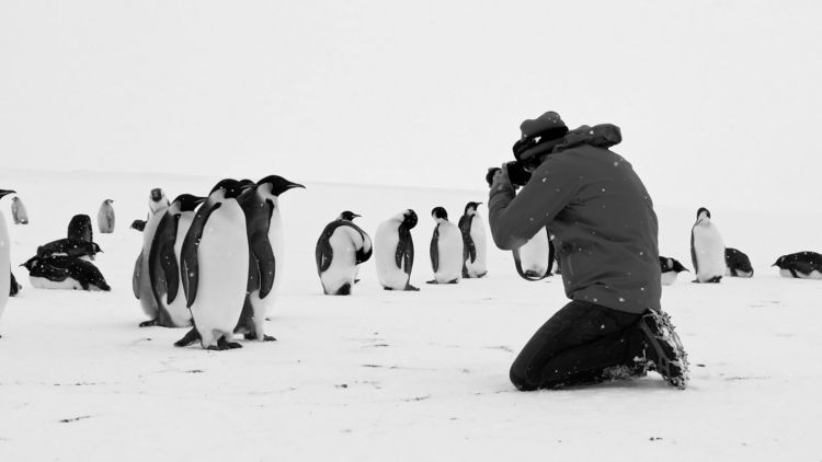 Produktbild: R&uuml;ckkehr zum Land der Pinguine