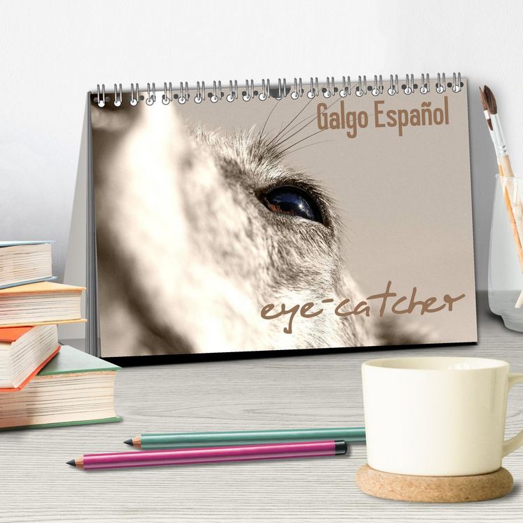 Produktbild: Galgo eye-catcher (Tischkalender 2026 DIN A5 quer), CALVENDO Monatskalender