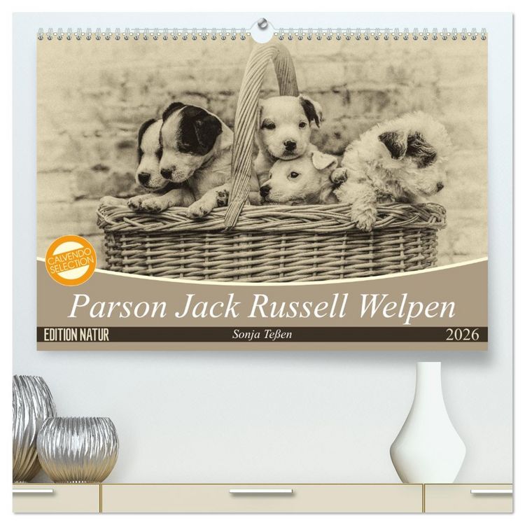 Produktbild: Parson Jack Russel Welpen (hochwertiger Premium Wandkalender 2026 DIN A2 quer), Kunstdruck in Hochglanz