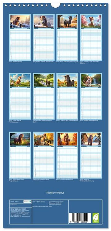 Produktbild: Familienplaner 2026 - Niedliche Ponys mit 5 Spalten (Wandkalender, 21 x 45 cm) CALVENDO