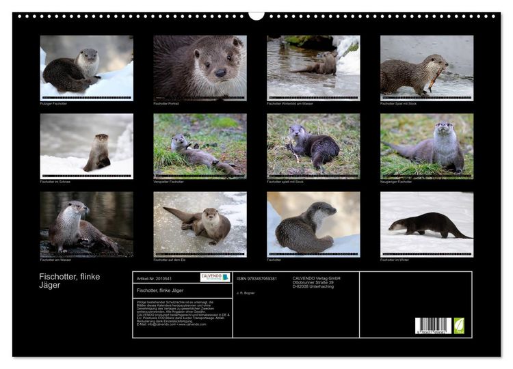 Produktbild: Fischotter, flinke J&auml;ger (Wandkalender 2026 DIN A2 quer), CALVENDO Monatskalender